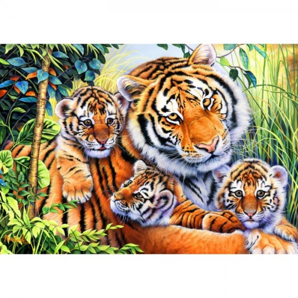 Rodzina tygrysów (1000el.) - Sklep Art Puzzle